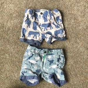 Mini Boden 4y roll up shorts, 2 pair. Birds; elephants